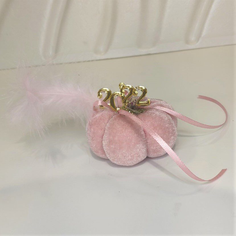 Γούρι 2022 μικρή βελούδινη κολοκύθα, διακοσμημένο με μεταξωτό κορδόνι και/ή φούντα. Ιδανικό δώρο για το σπίτι ή το γραφείο