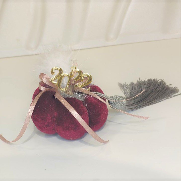 Γούρι 2022 μικρή βελούδινη κολοκύθα, διακοσμημένο με μεταξωτό κορδόνι και/ή φούντα. Ιδανικό δώρο για το σπίτι ή το γραφείο