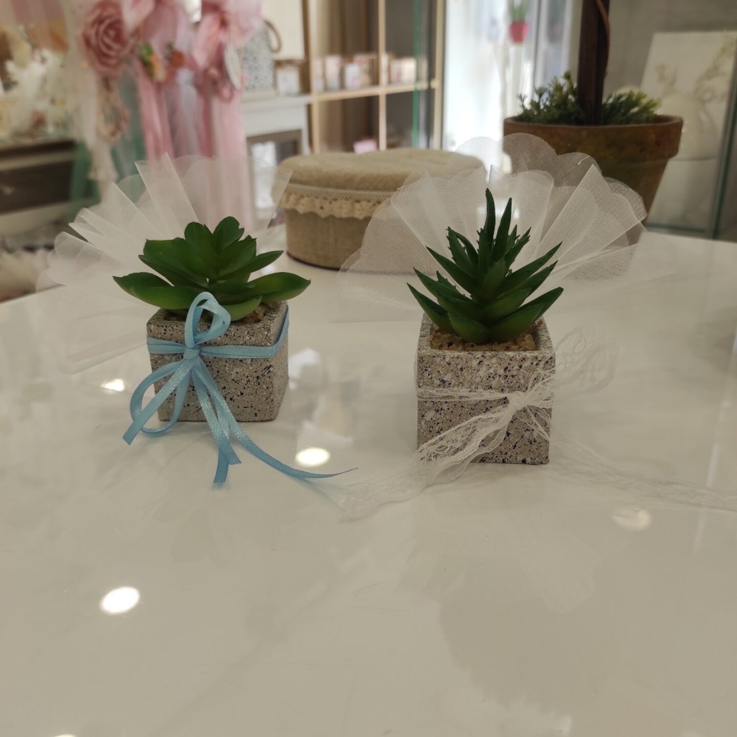 mpmponiera glastraki