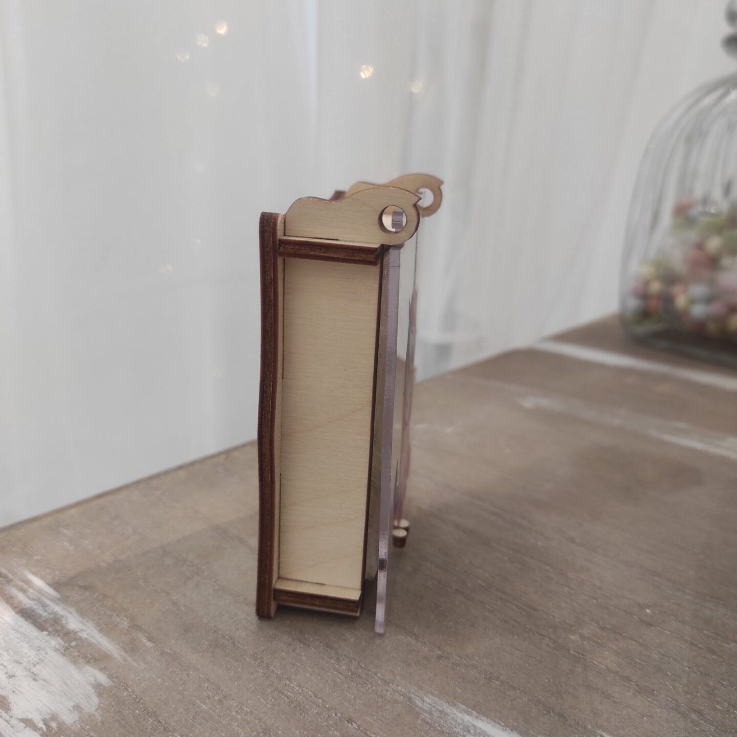 mpomponera xilini1 mpomponera xilini