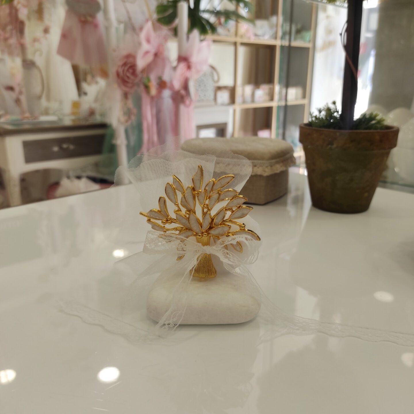 mpomponiera dentro zwis