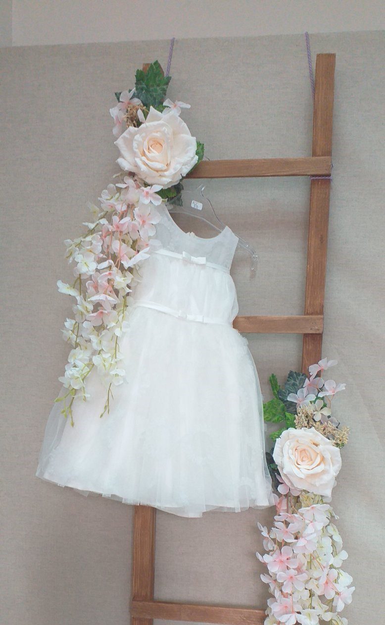 forema saten leptomereies