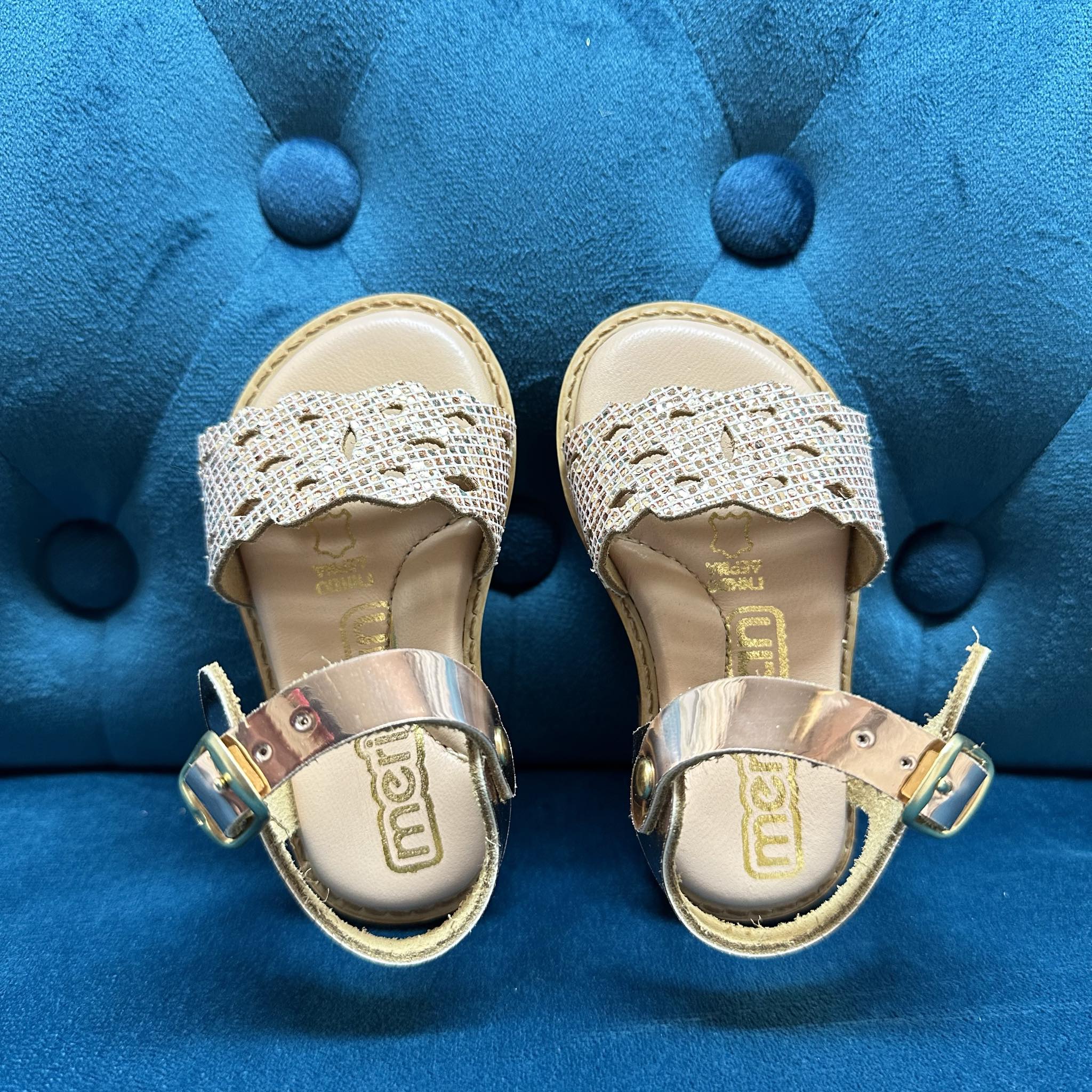 1e7d57ce-6d6e-403a-b9f9-f34cc69c5dc7